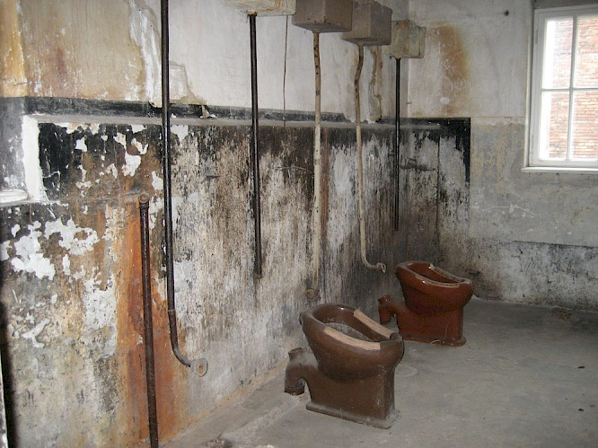 2019 Saxonia Entertainment | Cinephil