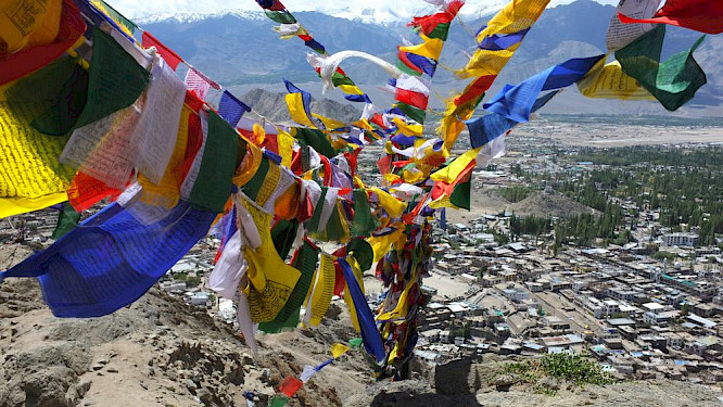 Mother of Tibetans
