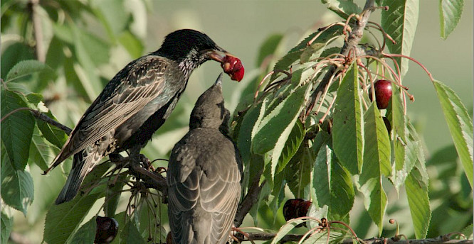 2019 Steffen und Alexandra Sailer | Marco Polo Film
