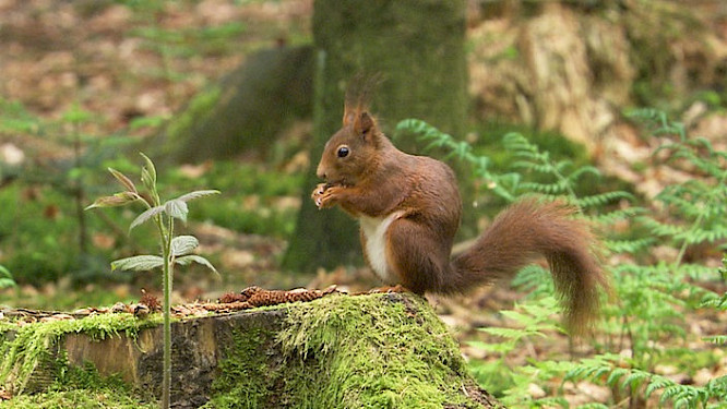 2019 Marco Polo Film | Albatross GmbH