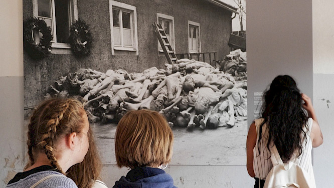 The&nbsp;young&nbsp;KADYAS