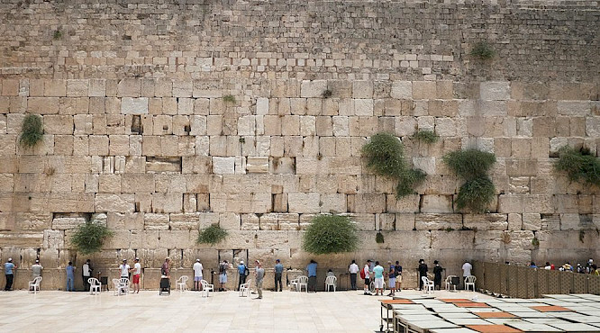 The&nbsp;young&nbsp;KADYAS