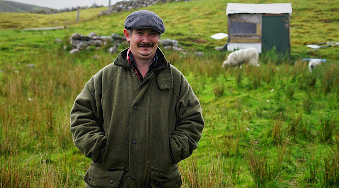 2019 Sabine Pollmeier