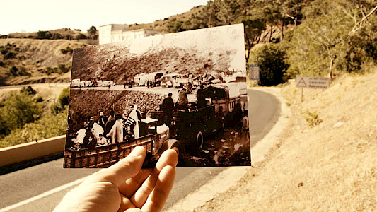 THE ANGEL OF HISTORY