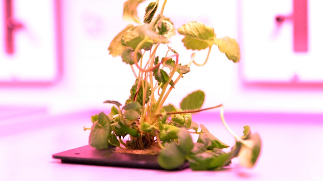 Surviving on the Moon