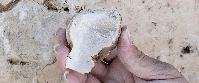 2020 Karsten Krause | F&Uuml;NFERFILM 