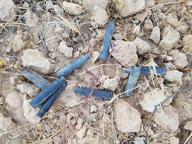 2020 SAXONIA ENTERTAINMENT GmbH 