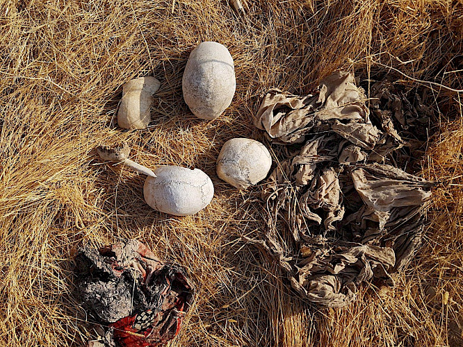 2020 SAXONIA ENTERTAINMENT GmbH 