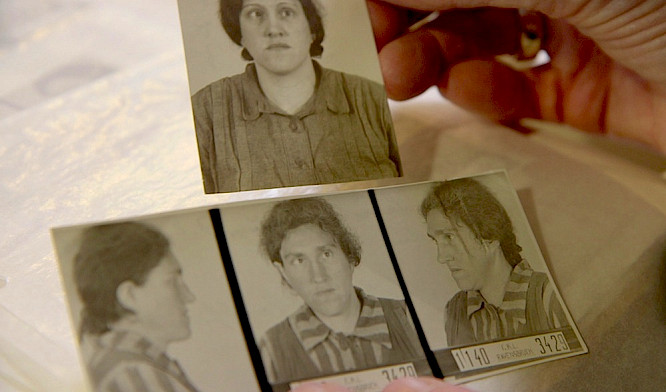 2019 Rohde-Dahl Filmproduktion | Arkadia Film | NEW DOCS