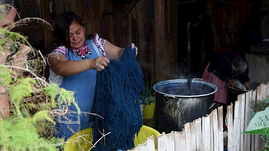 THE GUARDIANS OF THE COLOUR