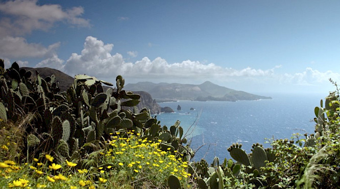 2019 Kinescope Film GmbH