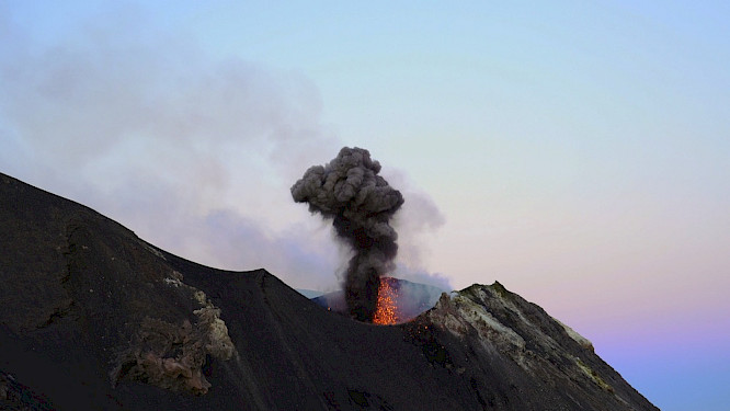 2019 Kinescope Film GmbH