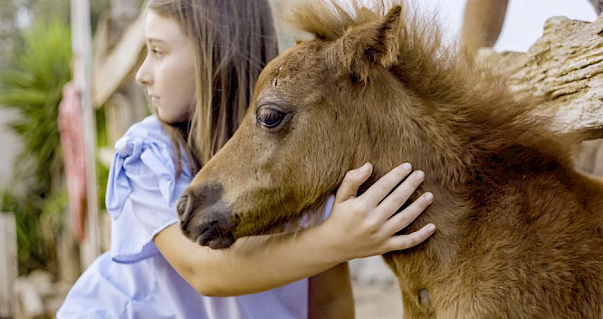 2019 Evolution Film | Cin&eacute;dokk&eacute; Film Prod.