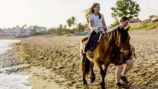 LAS HERMANAS DE ROCINANTE