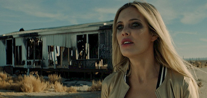 2019 PET&FLOdirectors