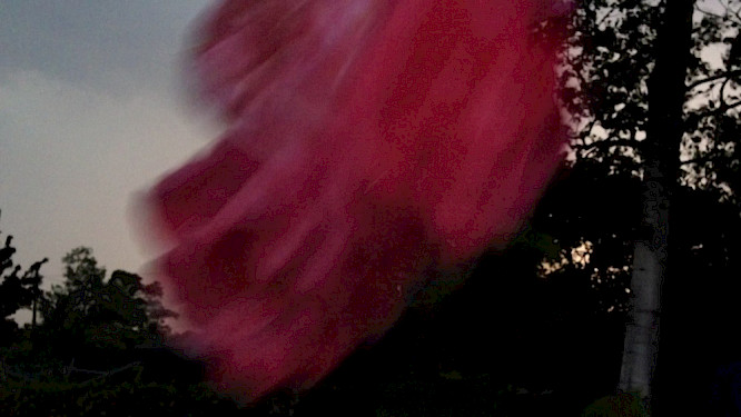 2020 Nicolaas Schmidt