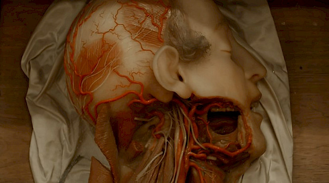 2020 Sasha Litvintseva, Beny Wagner