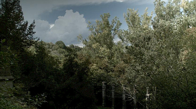 2020 Sasha Litvintseva, Beny Wagner