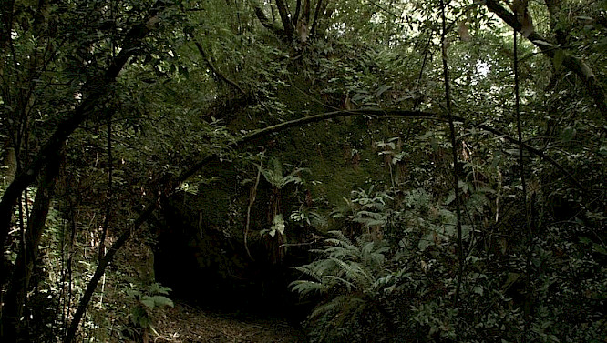 2020 Sasha Litvintseva, Beny Wagner