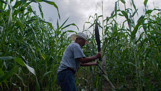 2020 CINEPHIL | AWW Germany GmbH