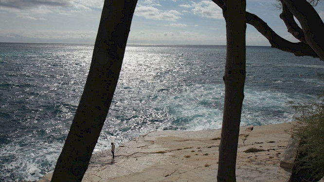 2019 MEDEA FILM | Leif Karpe