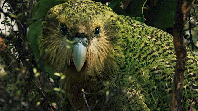 2019 Making Movies | Gebr&uuml;der Beetz Filmprod.