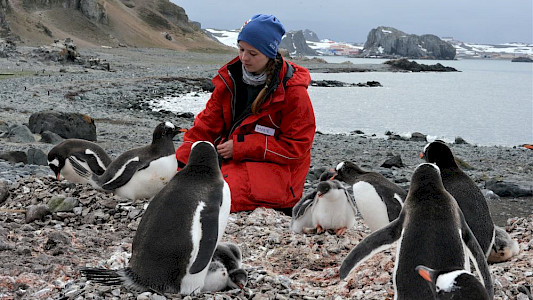 THE UNKNOWN LIFE OF ANTARCTICA