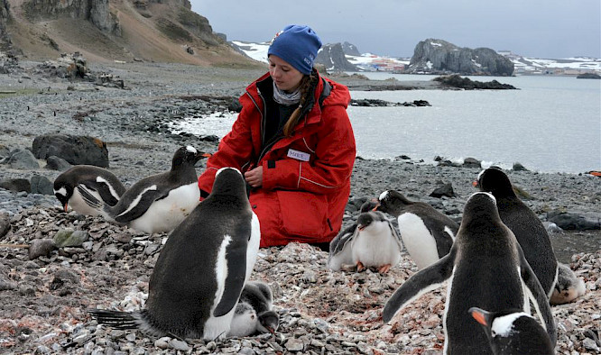 The Unknown Life of Antarctica