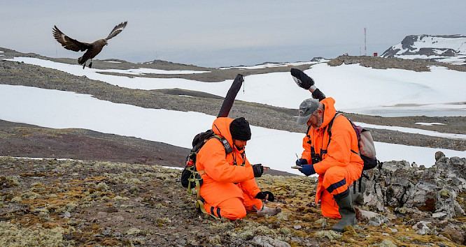The Unknown Life of Antarctica