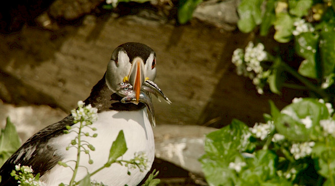 2019 Marco Polo Film AG | Alexandra Sailer, Steffen Sailer