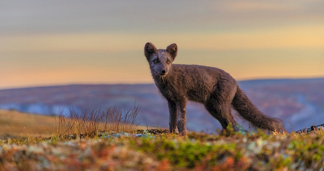 2019 Marco Polo Film AG | Alexandra Sailer, Steffen Sailer