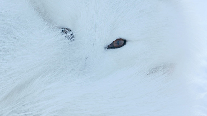 2019 Marco Polo Film AG | Alexandra Sailer, Steffen Sailer