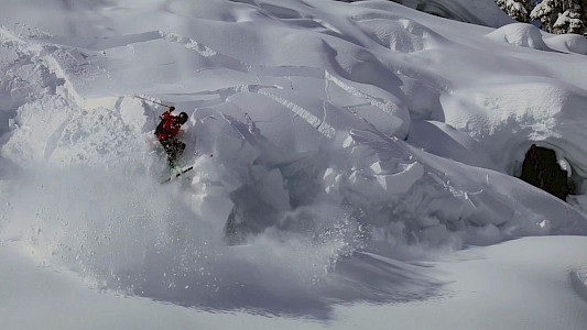 THE SCIENCE OF AVALANCHES
