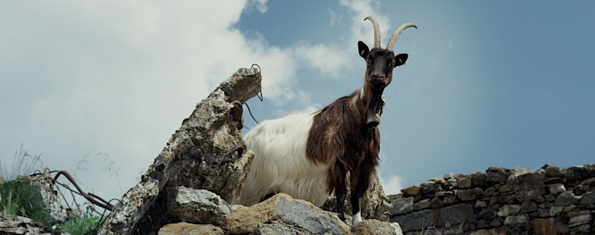 2019 Jakob Stark | PETROLIO FILM GmbH