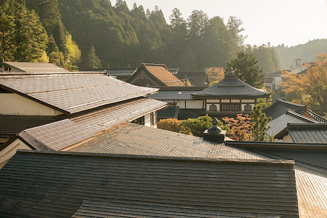 2018 Moon Jar Film | Sciara 