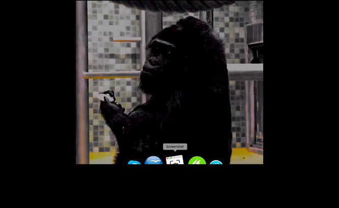 2019 Malena Filmproduktion GmbH & Co.KG