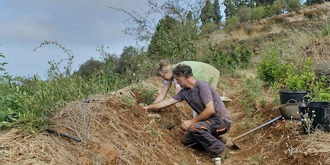 2019 Erwin Wagenhofer | Pandora Film Medien |  The Match Factory