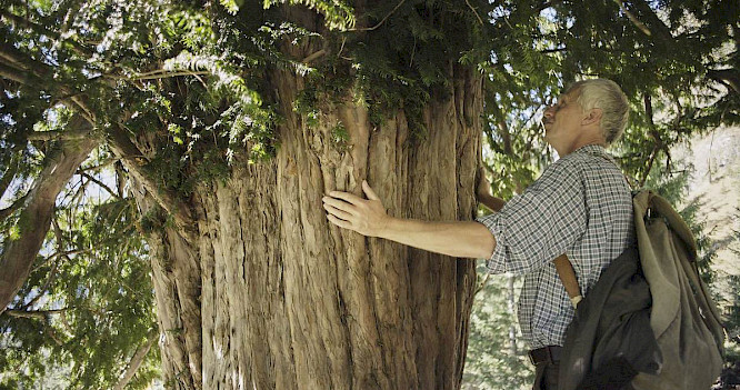 2019 Erwin Wagenhofer | Pandora Film Medien |  The Match Factory