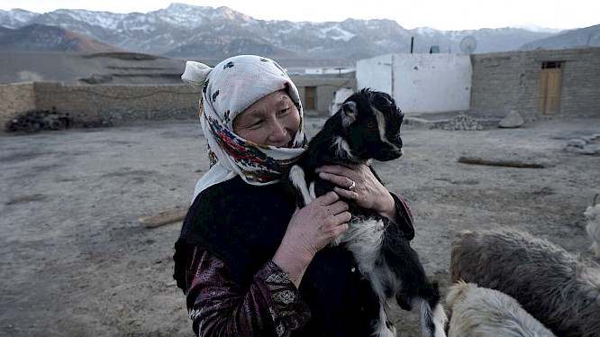 MURGHAB