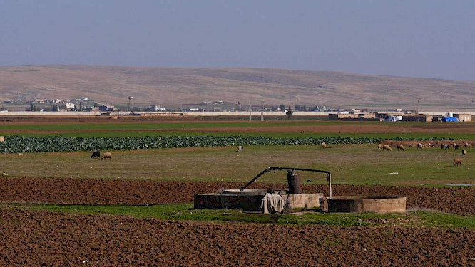 2019 World TV Krieg & Nolte GbR