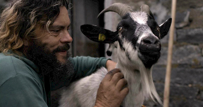 2020 REVOLUMENFILM | ROUGH CAT