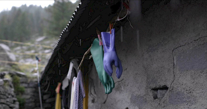 2020 REVOLUMENFILM | ROUGH CAT