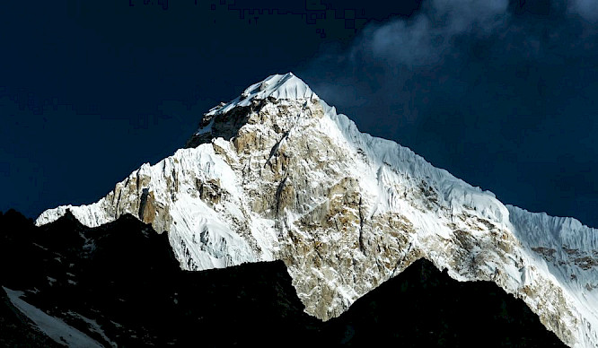 2019 Keith Partridge | VINCA FILM