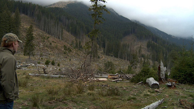 2020 MAGNETFILM GmbH