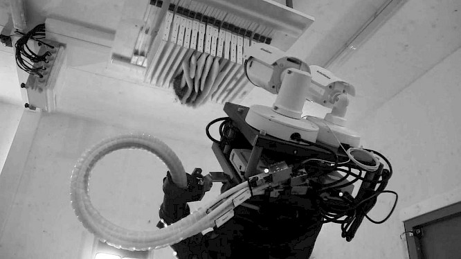 2020 primate visions