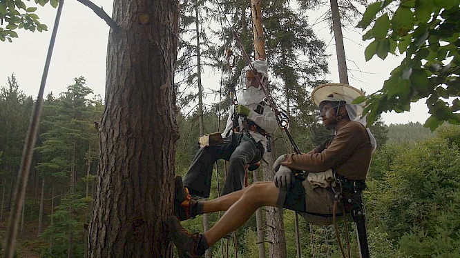 2020 primate visions