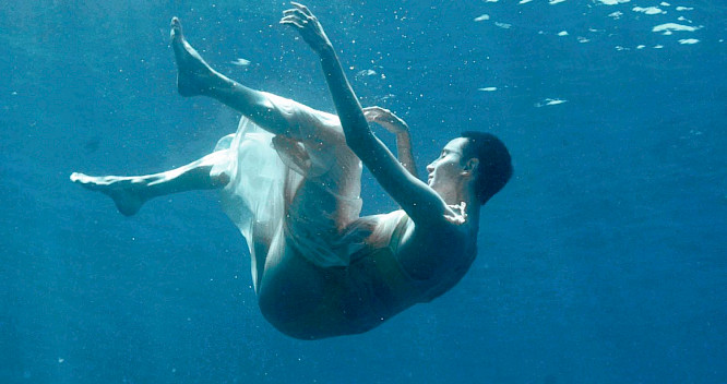 2020 Perennial Lens Gmbh