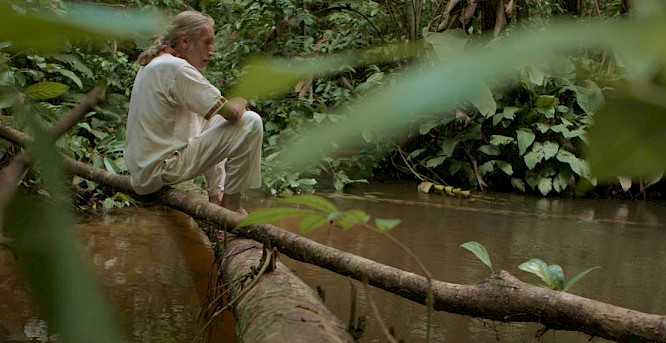 2020 Perennial Lens Gmbh