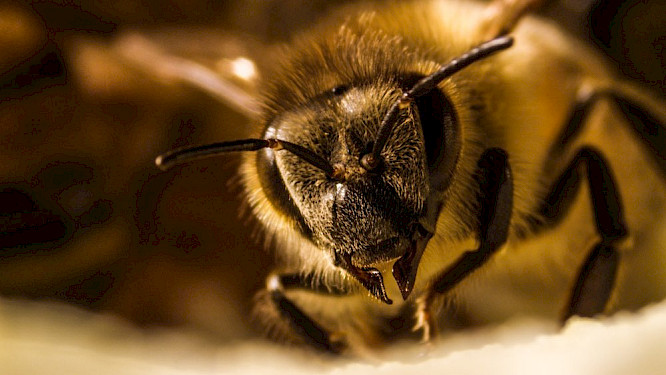 2020  taglicht media