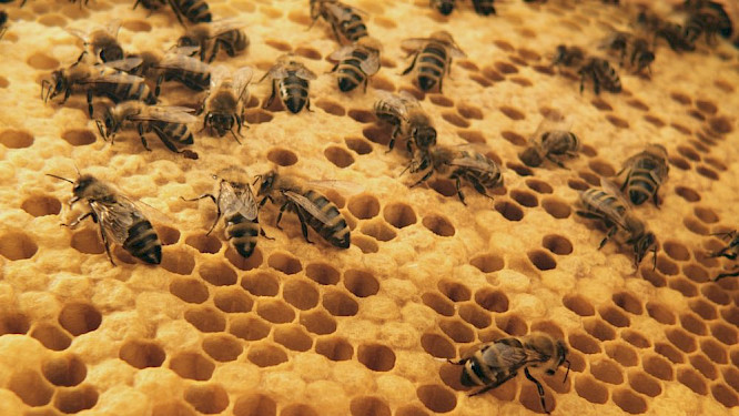 2020  taglicht media